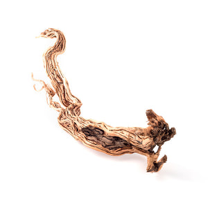 Galapagos Dragonwood