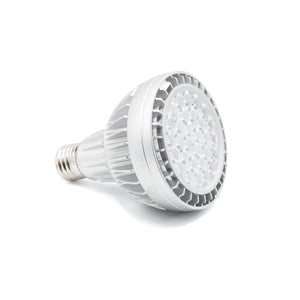 25w bulb