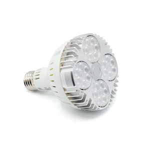 35w bulb