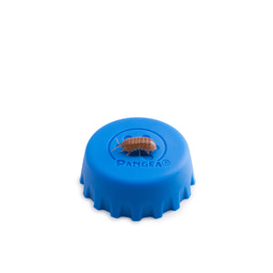 Armadillidium vulgare ‘Orange Vigor’ Isopods