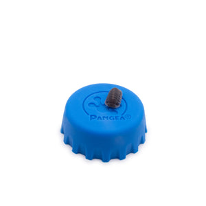 Cubaris sp. ‘Happy Nun’ Isopods