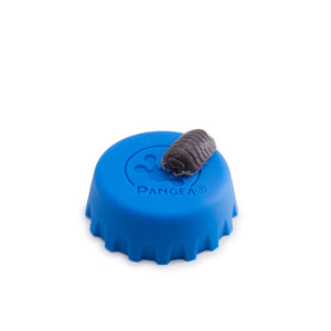 Armadillidium c.f. Frontisotre ‘Croatian Giants’ Isopods