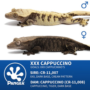 Cr-2849 breeder group