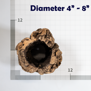 Pangea Cork Bark Rounds