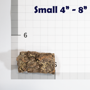 Pangea Cork Bark Rounds