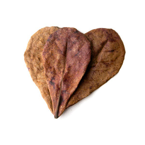 Pangea Leaf Litter Decor