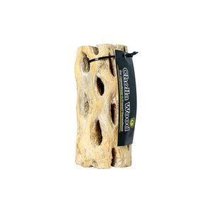 Galápagos Cholla Wood