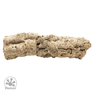 Side view of a small cork wood round isolated on a white background with a trademarked Pangea logo