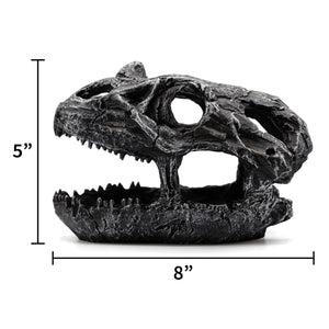 Pangea Dinosaur Skull Reptile Hide