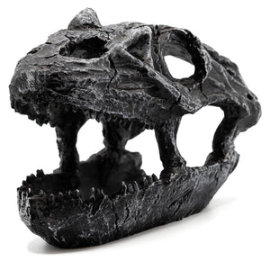 Pangea Dinosaur Skull Reptile Hide