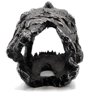 Pangea Dinosaur Skull Reptile Hide