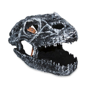 Pangea Dinosaur Skull Reptile Hide - with gecko looking out eye socket.