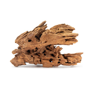 Small Piece of Malaysian Driftwood isolated on a white background