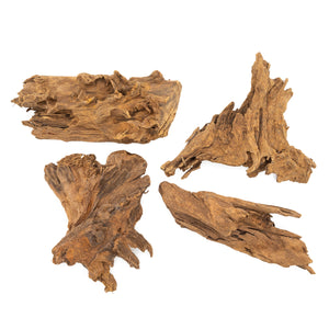 4 piece group of Small Malaysian Driftwood pieces on a white background