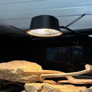 Reptile Systems Eco Mini Heater - Low Output Basking Lamp for Reptiles