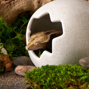 Galápagos Ceramic Egg Hide