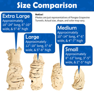 Pangea Grapevine Tunnels