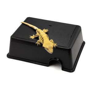 Humidity Hide medium with gecko