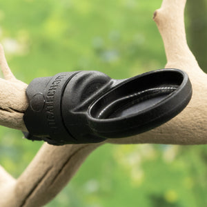 Pangea MicroDish Branch Mount Kit Small - bowl and magnet mounted on branch with green background.