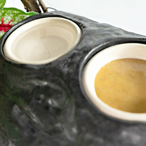 Lifestyle image showing two large Pangea 1.5 oz paper cups in a ultimate gecko ledge feeder, with one holding water and the other holding Pangea gecko diet