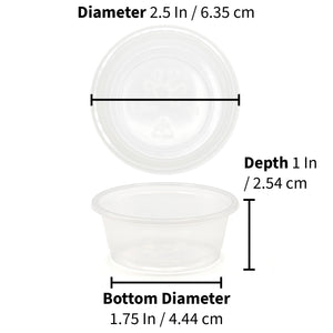 Large plastic cup from pangea reptile depicted with detailed measurements of its size