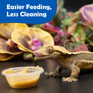 Gecko eating from a small container of food with text 'Easier Feeding, Less Cleaning' on a blurred natural background.