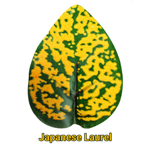Pangea Leafy Vine Japanese Laurel Leaf