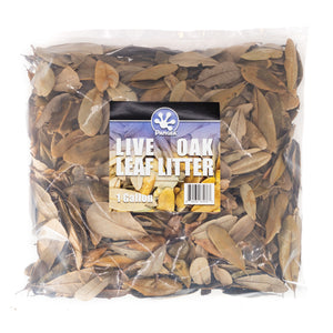 Live Oak Leaf Litter Gallon