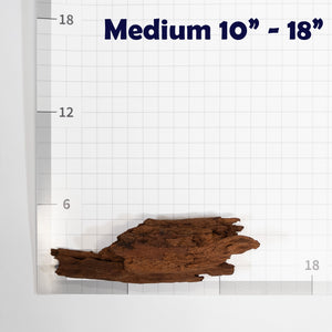 Pangea Malaysian Driftwood Decor