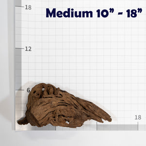 Pangea Malaysian Driftwood Decor