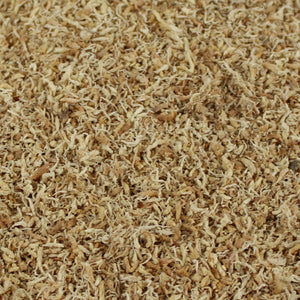 Pangea Milled Sphagnum Moss close up texture details.