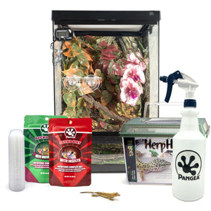 Complete Crested Gecko Kit with Free Gecko!