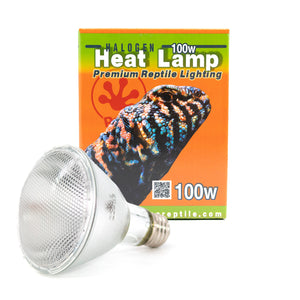 Pangea Halogen Lamp box with bulb 100 watt.