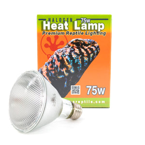 Pangea Halogen Lamp 75 Watt box with bulb image.