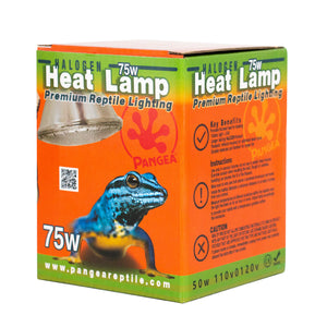 Pangea Halogen Heat Lamp 75W - premium reptile lighting box at angle.