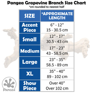 Pangea Sandblasted Grapevine