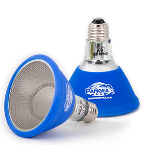 Pangea Infrared Deep Heat Projector