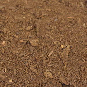 Pangea Peat Moss texture close up