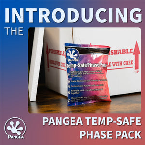 Pangea Temp-Safe Phase Pack - introduction slide with image of phase pack in front of shipping box.