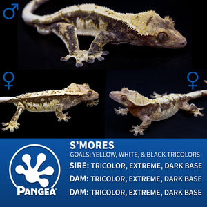 Cr-2842 breeder graphic