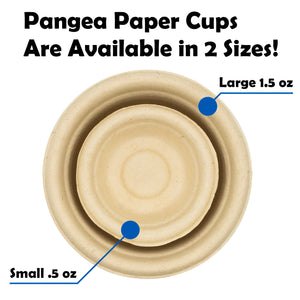 Two paper gecko feeding cups labeled 'Small .5 oz' and 'Large 1.5 oz' with text indicating availability