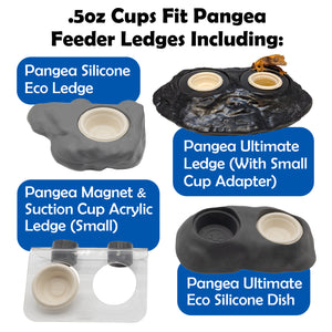 Infographic showing which Pangea reptile feeding ledges will hold small paper gecko feeding cups