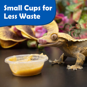 A gecko eating out of a small plastic Pangea cup accompanied by the text "small cups for less waste"