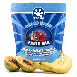 Pangea Reptile fruit mix gecko treat 64oz bag depicted with bananas and papayas on a white background