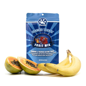 Pangea Reptile fruit mix gecko treat 8oz bag depicted with bananas and papayas on a white background