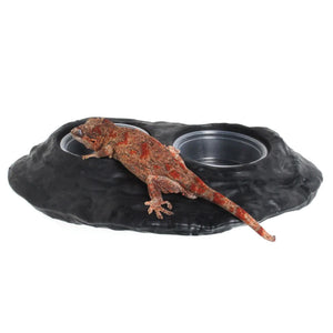 Pangea Ultimate Ledge - with gargoyle gecko and plastic bowls.