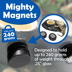 Pangea Ultimate Gecko Ledge - Magnetic