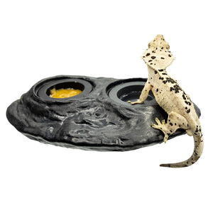 Pangea Ultimate Ledge - with crested dalmatian gecko named Rorschach and black silicone cups.