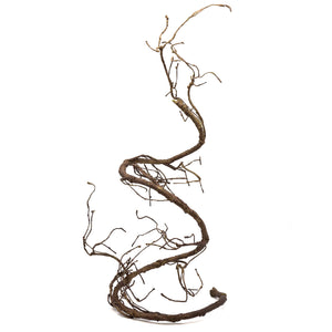 Pangea Ultimate Vine Brown extended