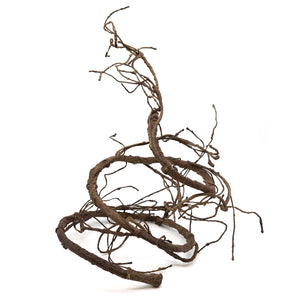 Pangea Ultimate Vine Brown